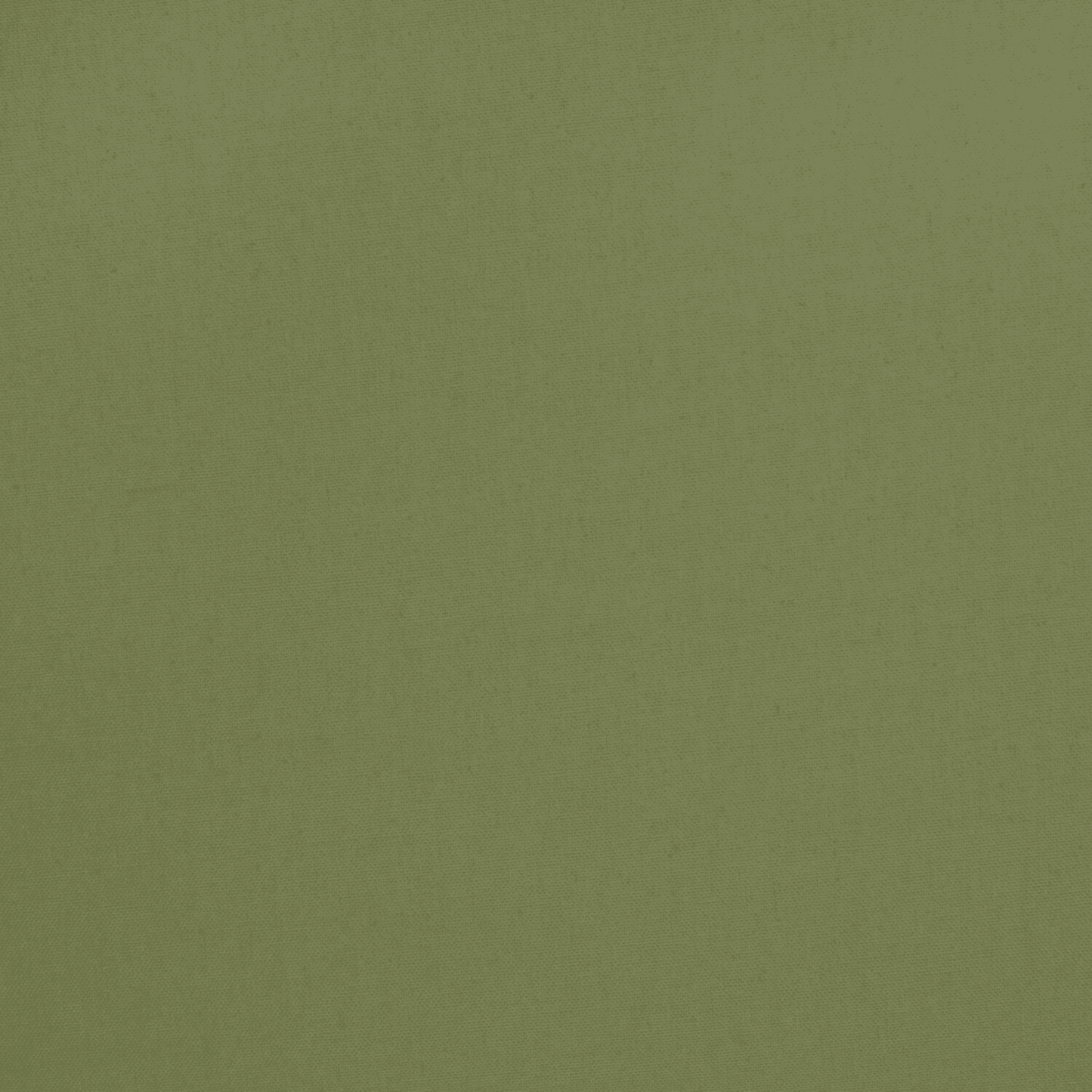 Cotton Canvas / Bull Denim Fern Green - Ragland Fabrics