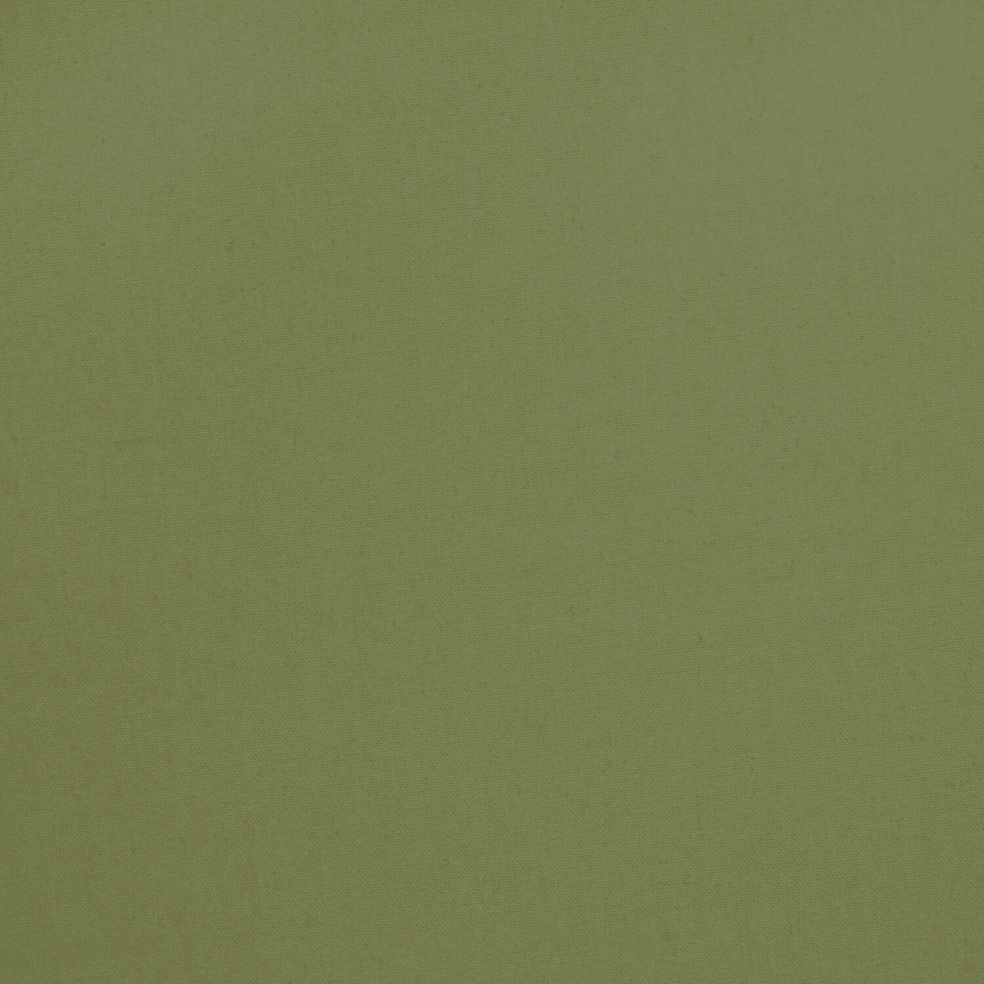 Cotton Canvas / Bull Denim Fern Green - Ragland Fabrics