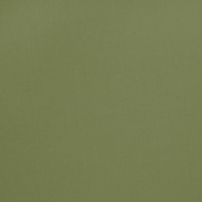 Cotton Canvas / Bull Denim Fern Green - Ragland Fabrics