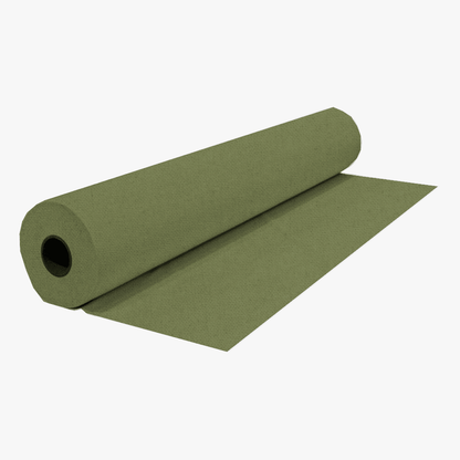 Cotton Canvas / Bull Denim Fern Green - Ragland Fabrics