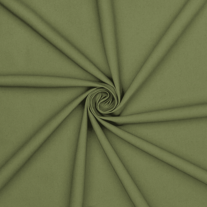 Cotton Canvas / Bull Denim Fern Green - Ragland Fabrics