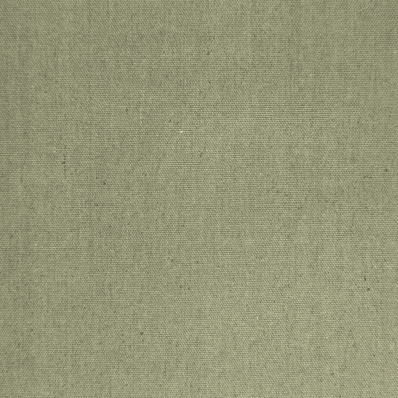 Cotton Canvas / Bull Denim Military 22 - Ragland Fabrics