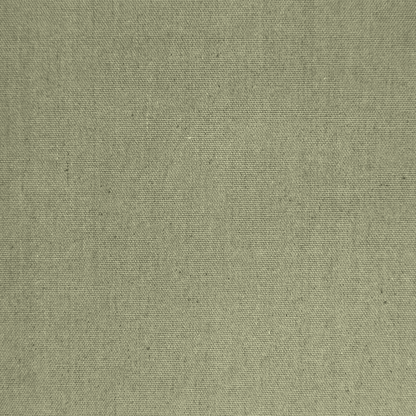 Cotton Canvas / Bull Denim Military 22 - Ragland Fabrics