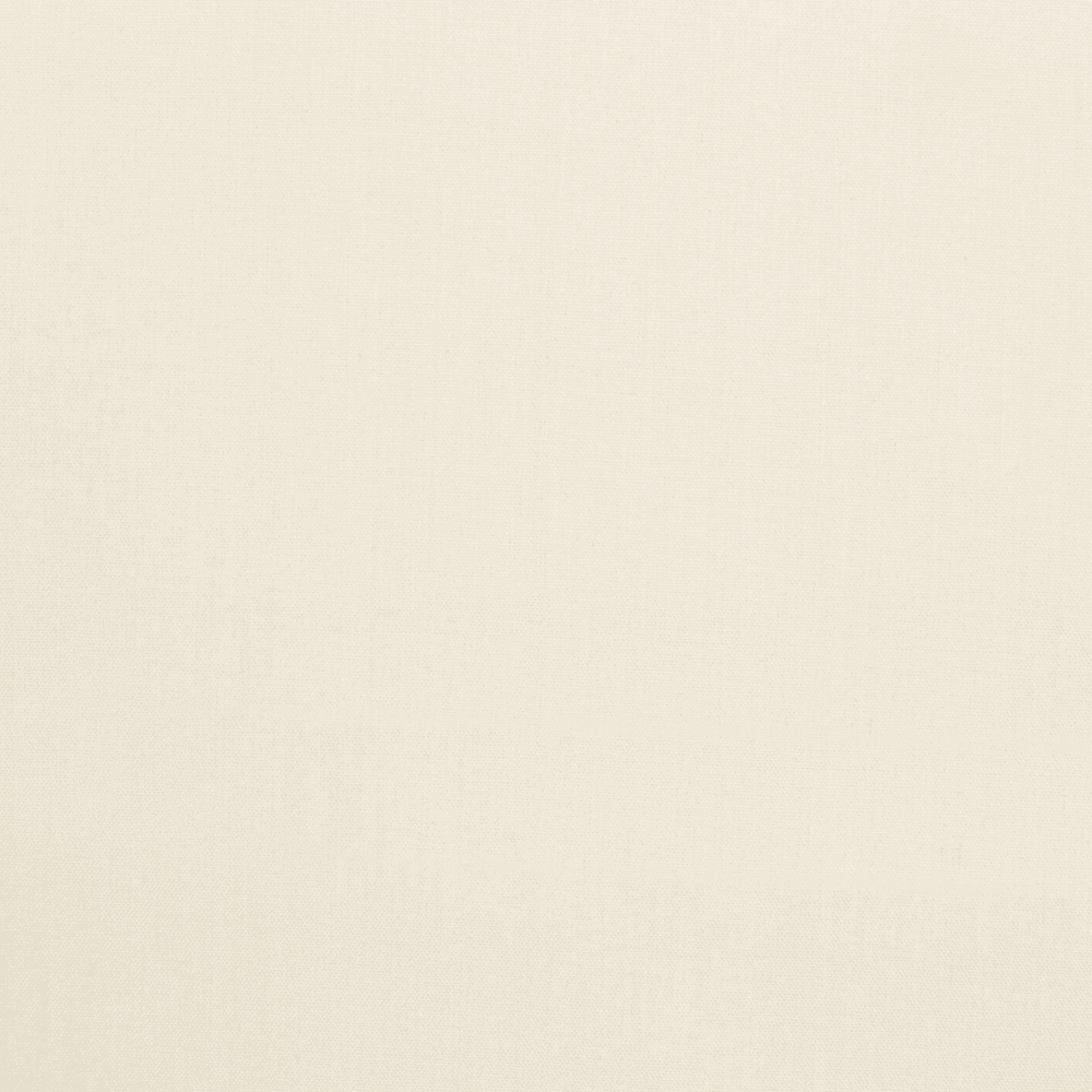 Cotton Canvas / Bull Denim Natural 3 - Ragland Fabrics