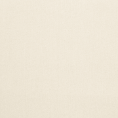 Cotton Canvas / Bull Denim Natural 3 - Ragland Fabrics