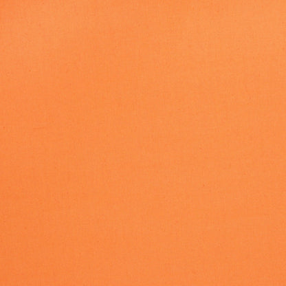 Cotton Canvas / Bull Denim Orange 13 - Ragland Fabrics
