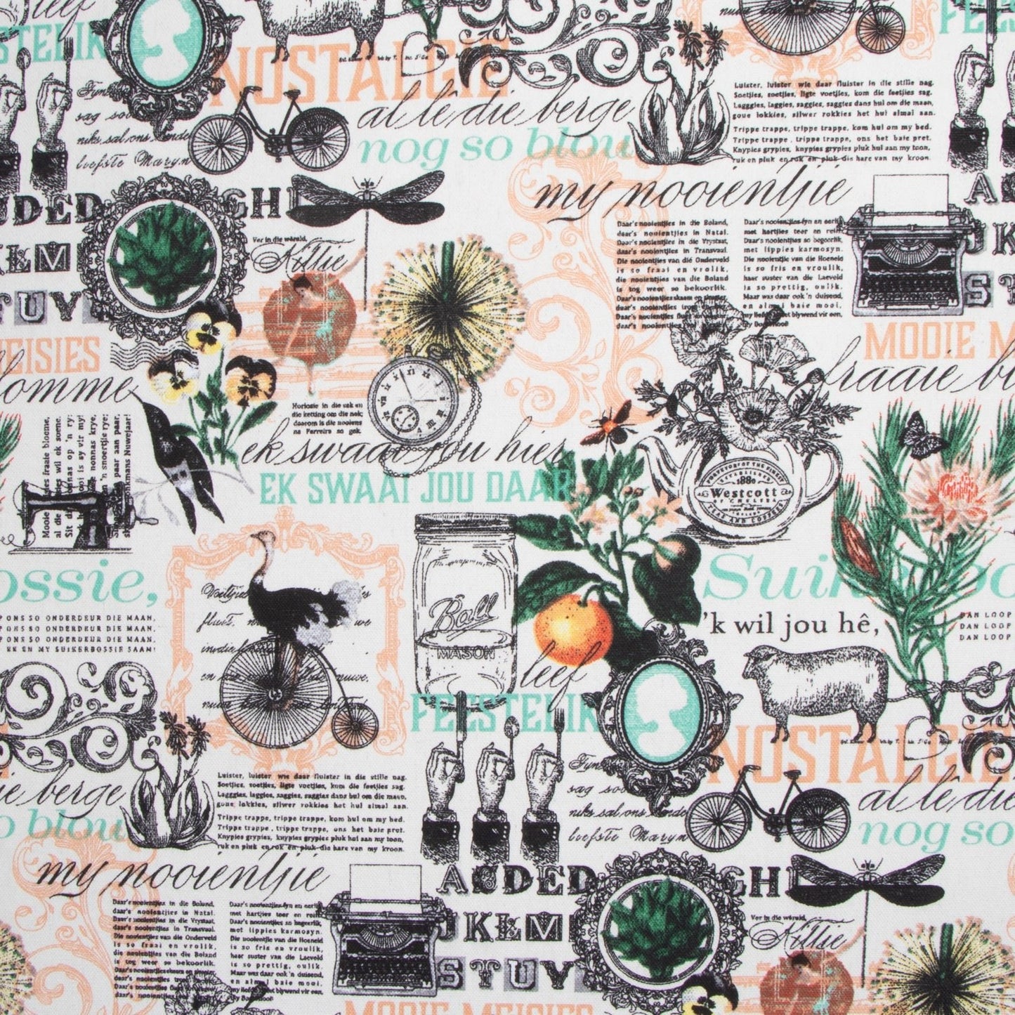 Cotton Canvas Printed Col 1 - Ragland Fabrics