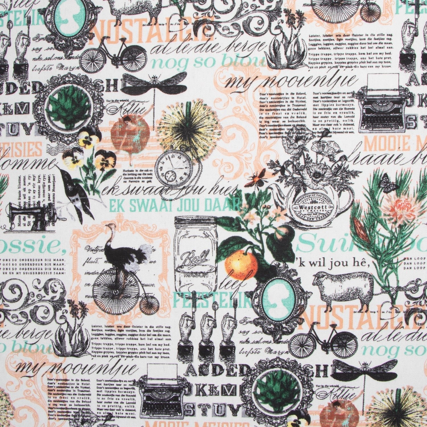 Cotton Canvas Printed Col 1 - Ragland Fabrics
