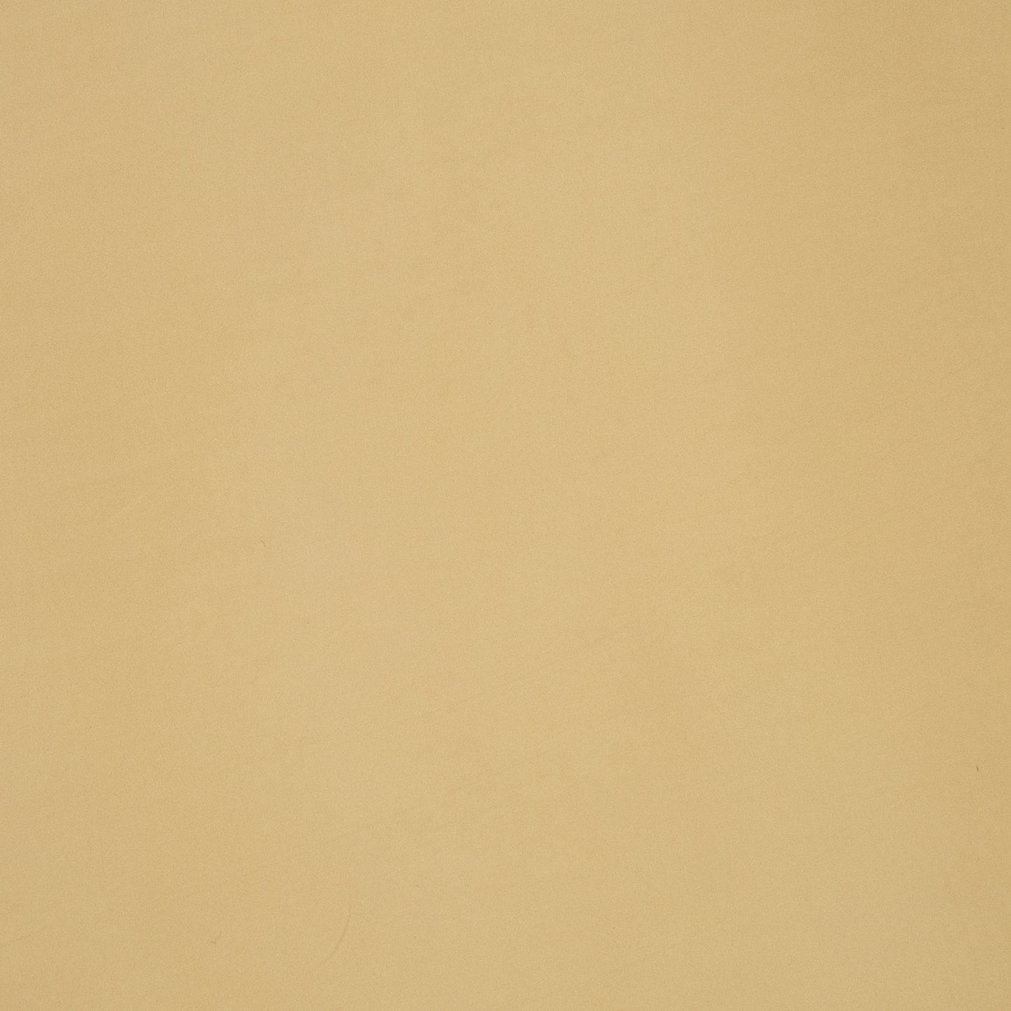 Cotton Lycra Amarula - Ragland Fabrics