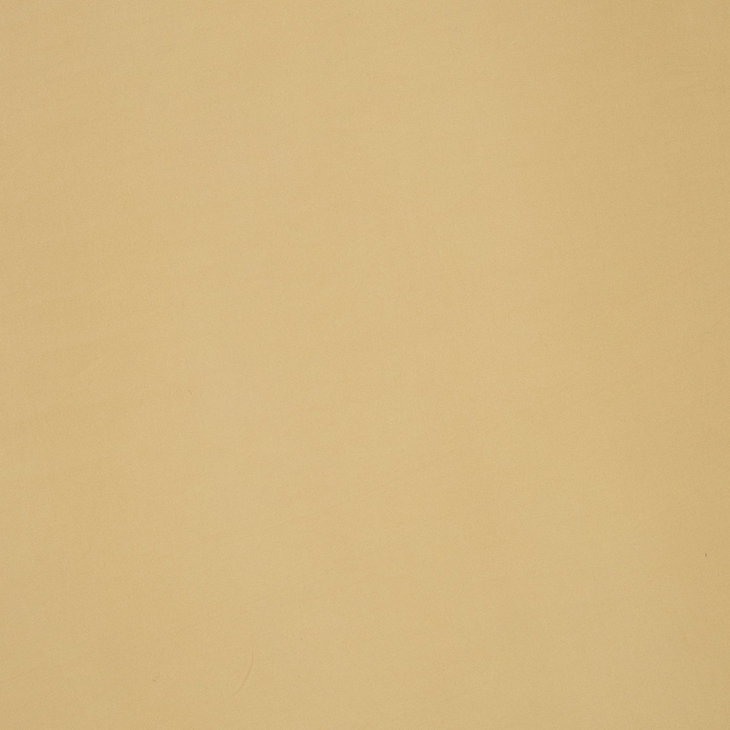 Cotton Lycra Amarula - Ragland Fabrics