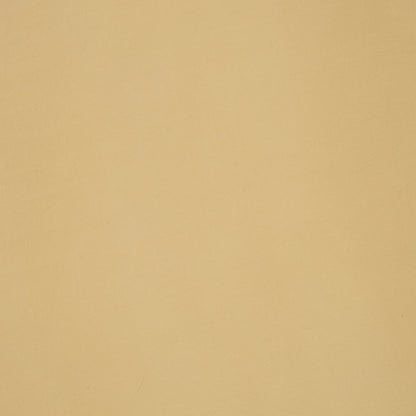 Cotton Lycra Amarula - Ragland Fabrics
