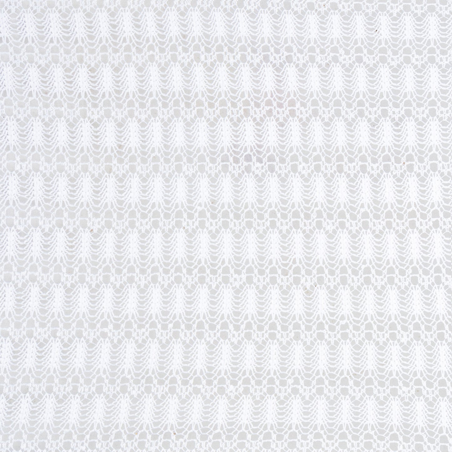Cream Lace Optical White - Ragland Fabrics