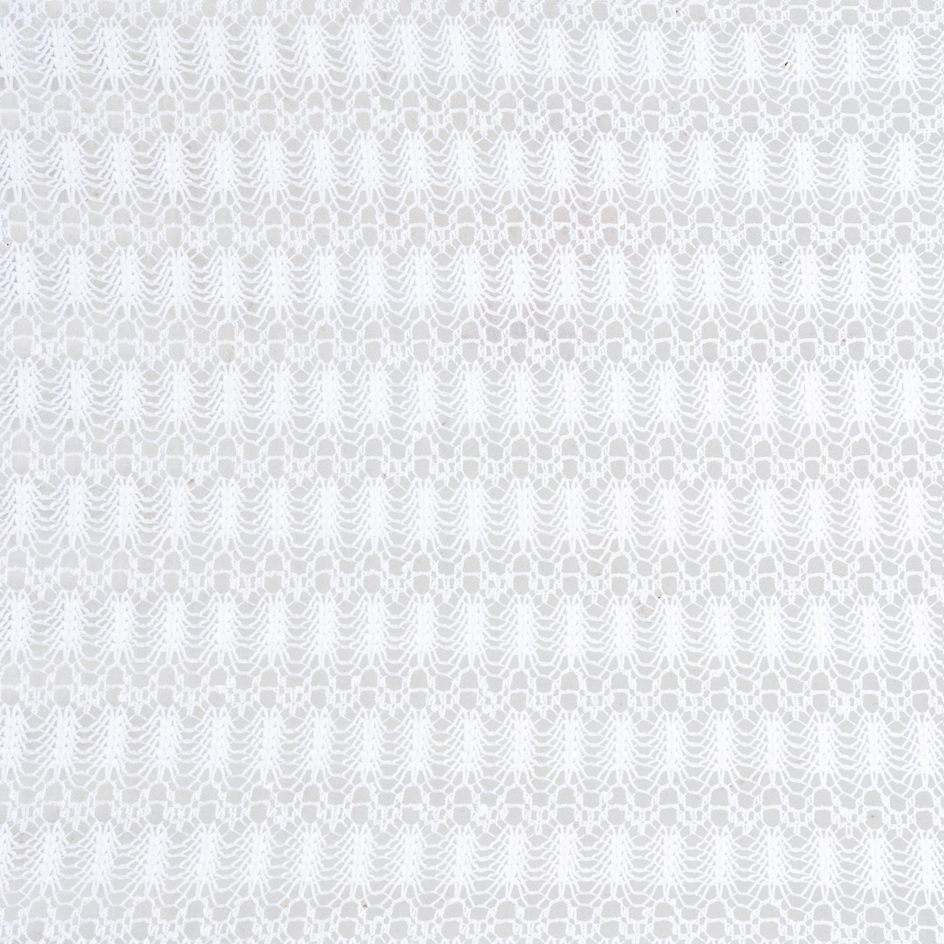 Cream Lace Optical White - Ragland Fabrics
