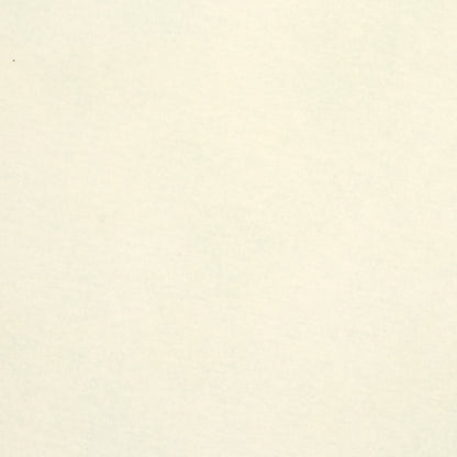 Poly Spandex Knit Cream - Ragland Fabrics