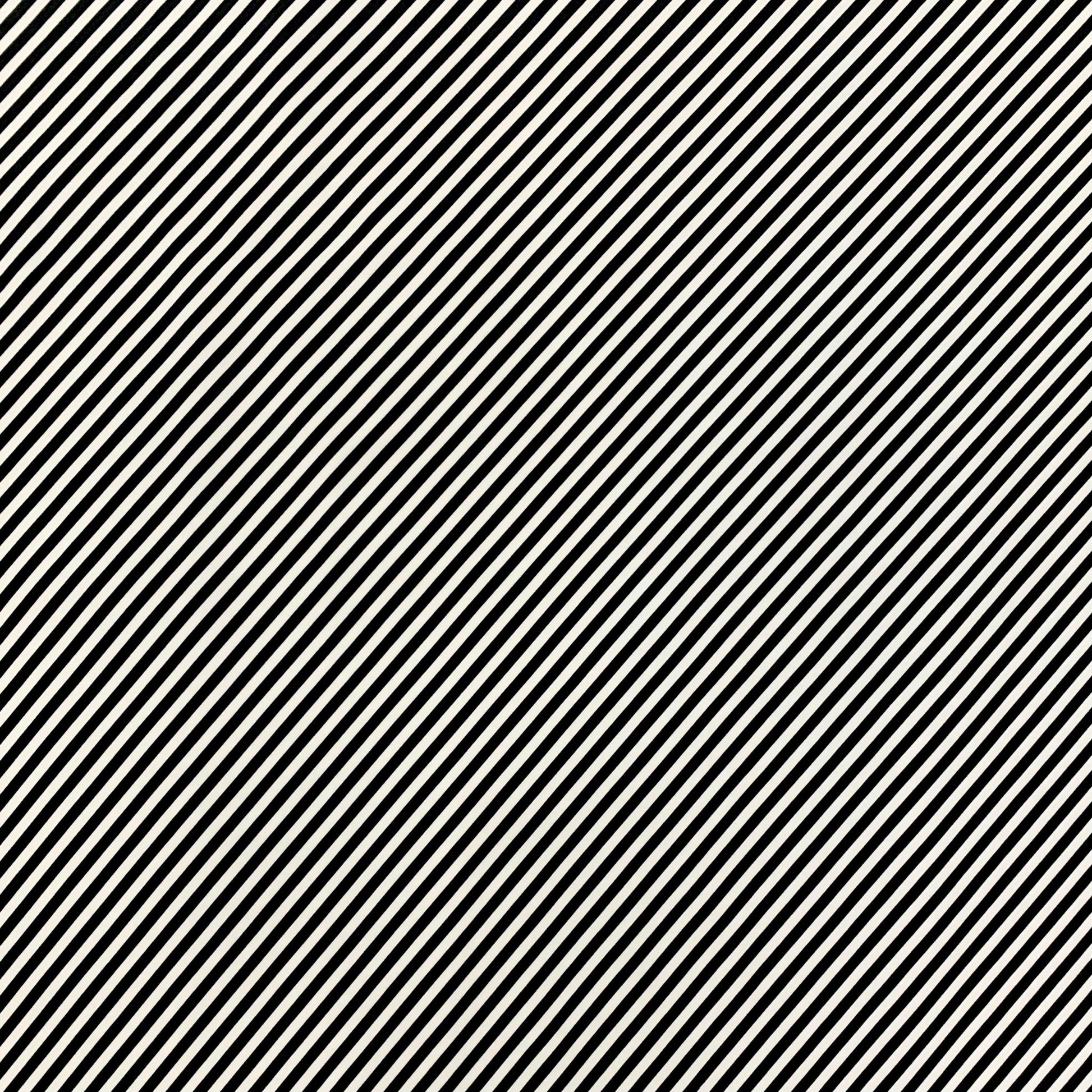 Printed Georgette Black / White Stripe - Ragland Fabrics