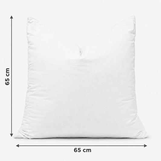 Down Scatter Cushions 65 x 65cm