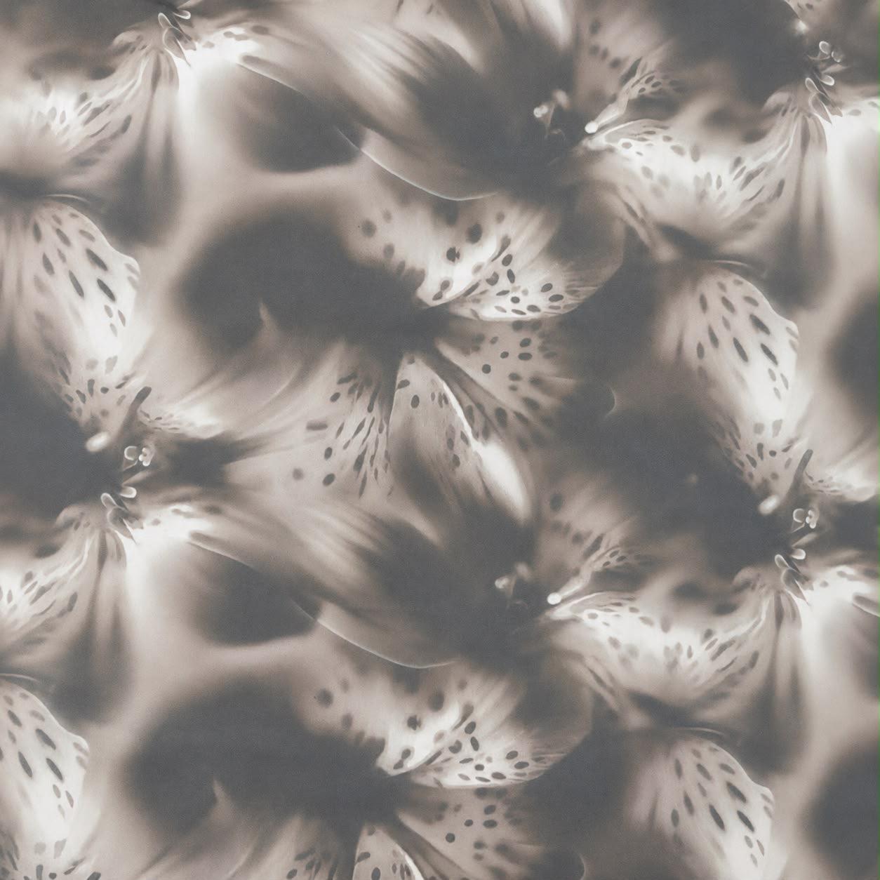Stretch Power Mesh Brown Floral