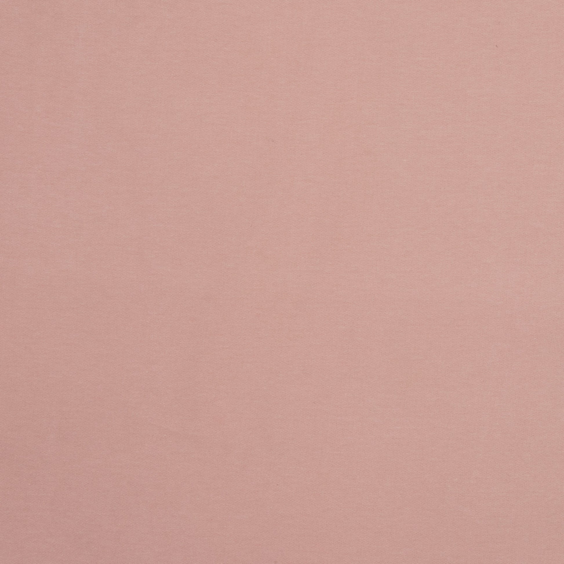 Track Suiting Brushed Cotton - Dusty Pink - Ragland Fabrics