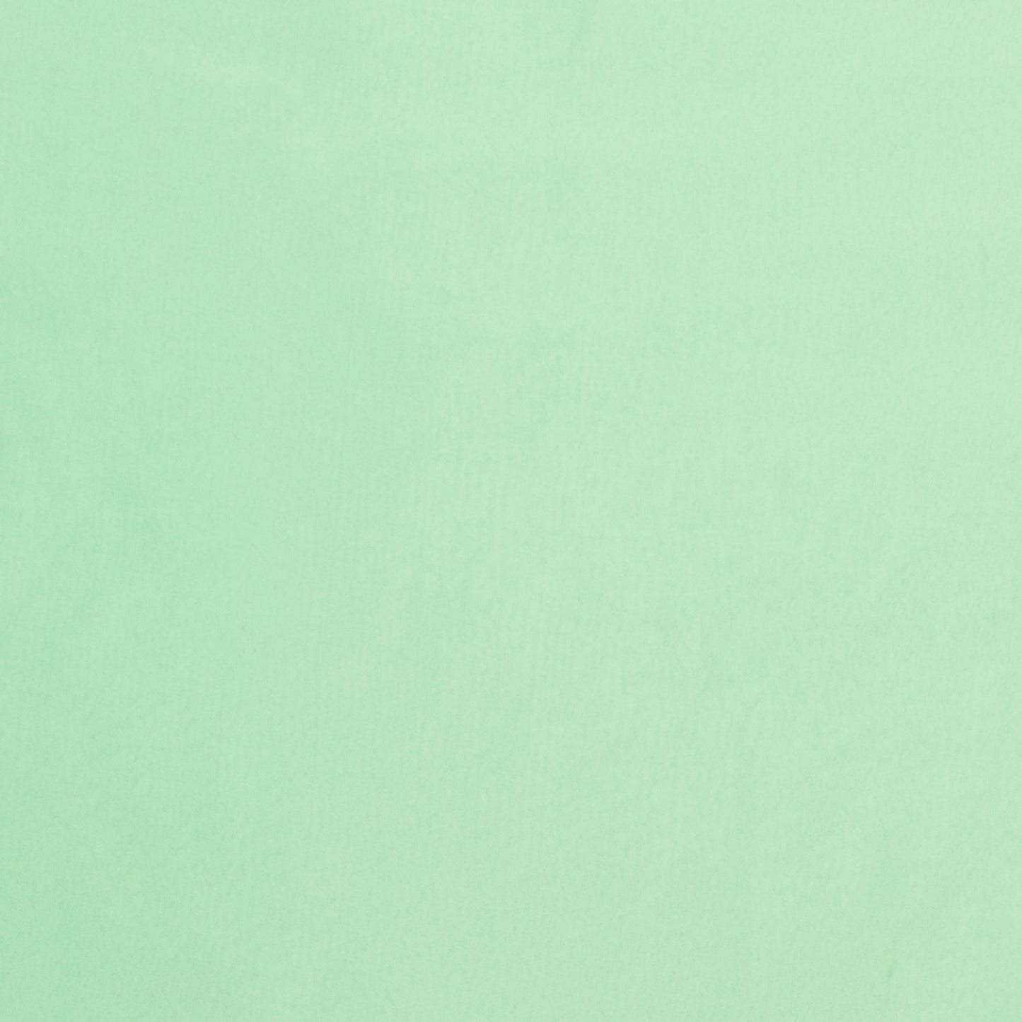 Pongee Lining Mint 23 150cm - Ragland Fabrics