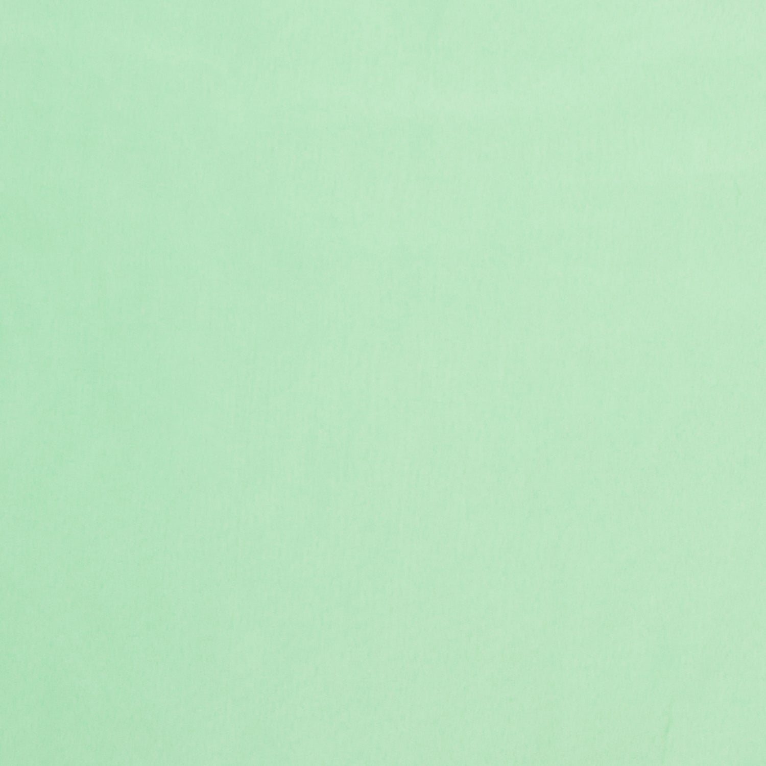 Pongee Lining Mint 23 150cm - Ragland Fabrics
